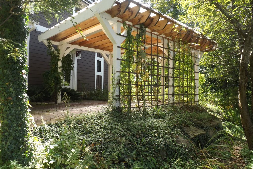 A carport with greenery running up the side